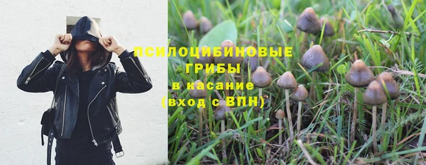 Альфа ПВП Михайловск