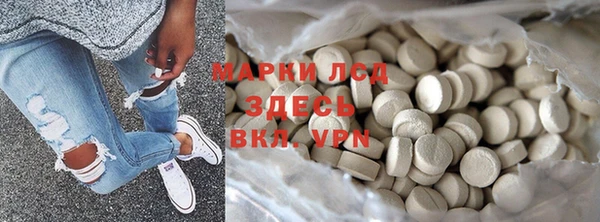 индика Анива