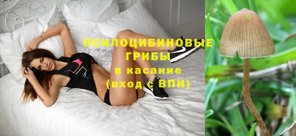 Альфа ПВП Михайловск