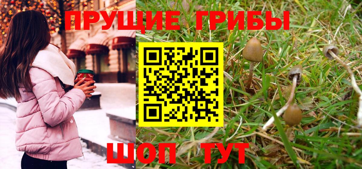 Галлюциногенные грибы Magic Shrooms  Вход с VPN  Тихвин 